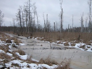 �������