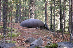 ������� ������