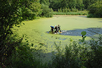 ������� ������