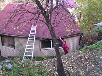 ������� ������