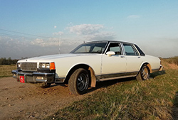 ������� ������