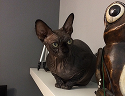 ������� ������