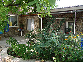 ������ ������