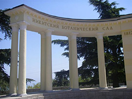 ������ ������