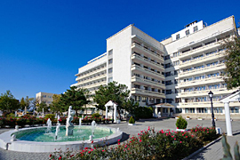 ������ ������