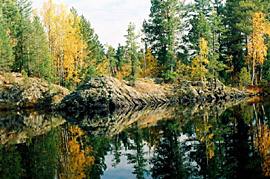 ������ ������